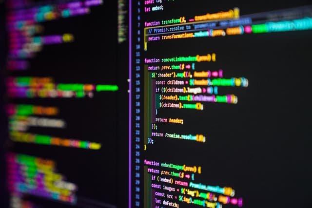 Developer